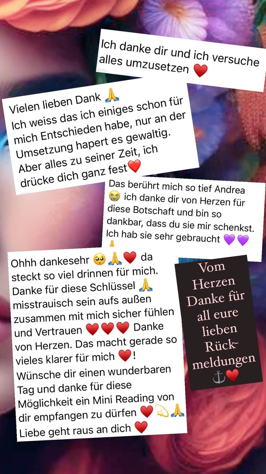 Readings & Begleitungen – Vorschau